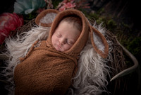 Bristol Newborn 2018-Bristol Newborn 2018-0034